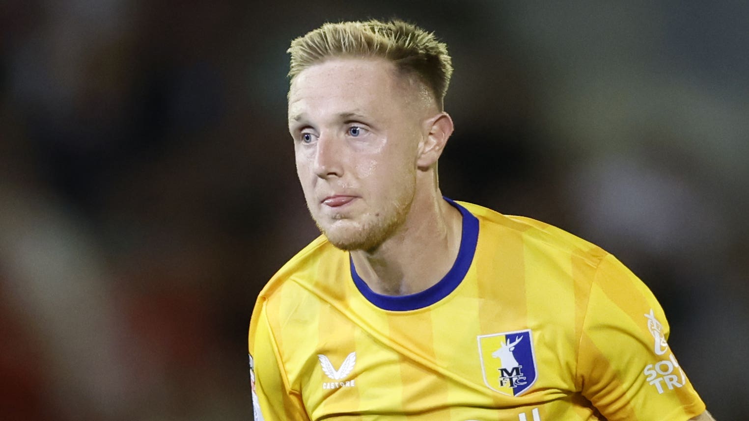 他在未来几 他在未来几