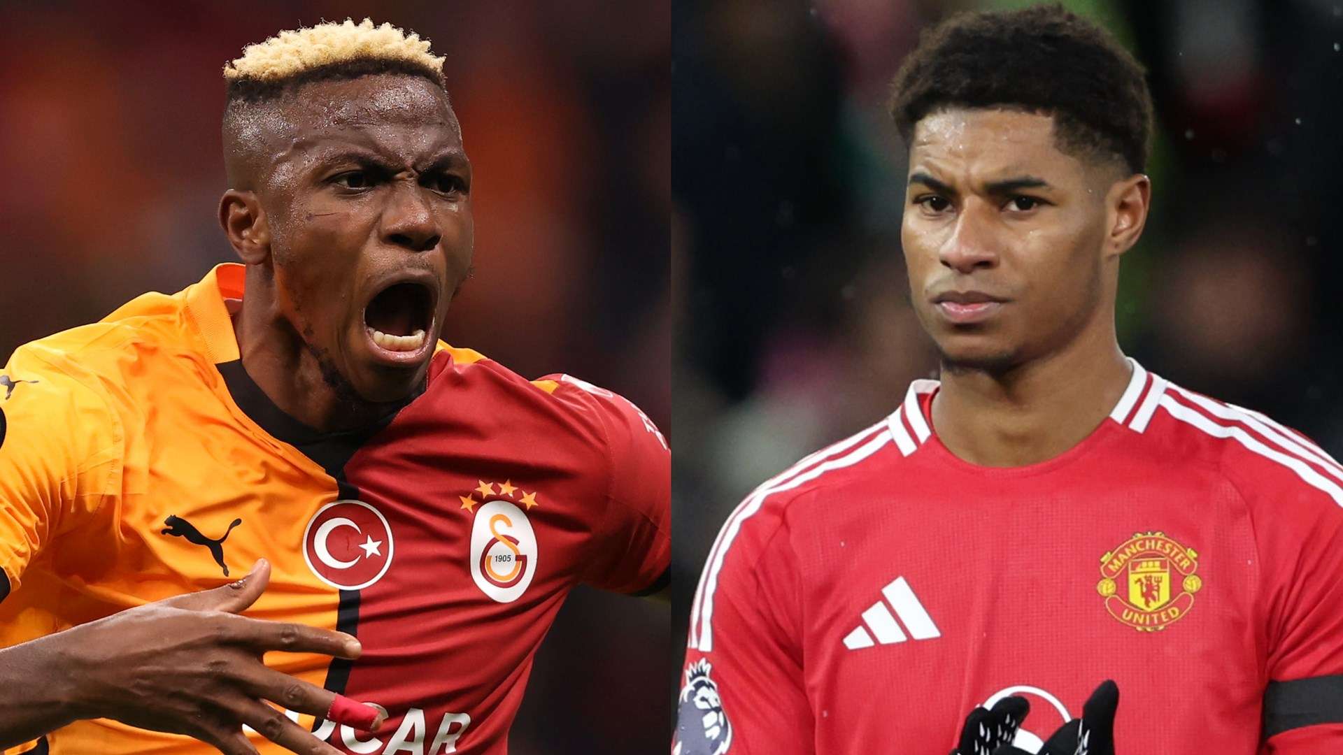 的便是与 的便是与